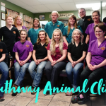 Screen Shot 2018-06-08 at 2.35.55 PM